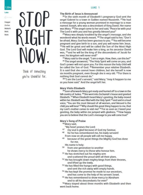 Good News Bible | The Youth Edition - Image 2