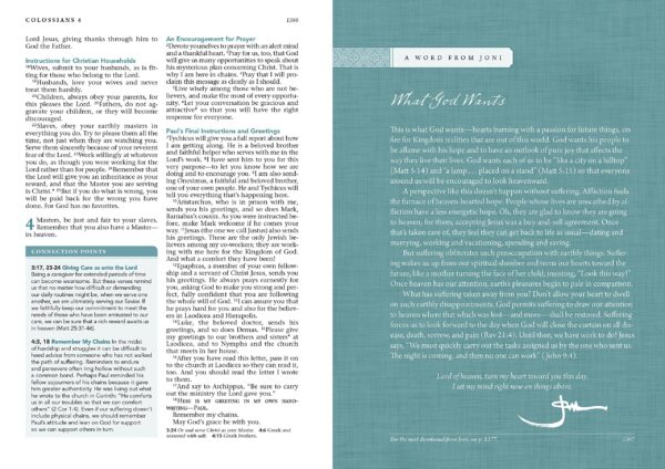 Beyond Suffering Bible | trda vezava - Image 4