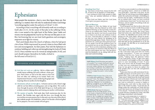 Beyond Suffering Bible | trda vezava - Image 3