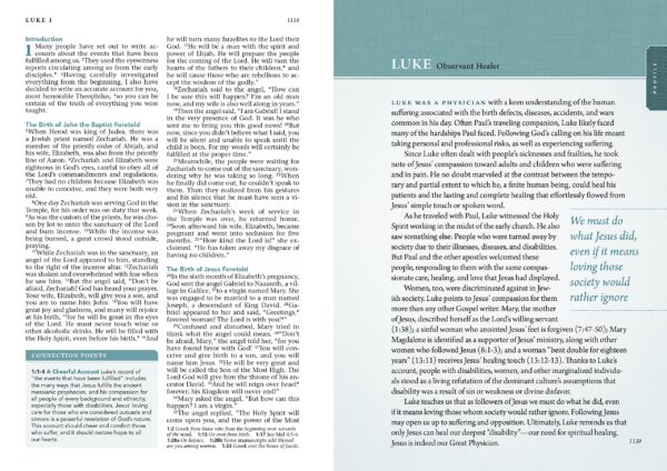 Beyond Suffering Bible | trda vezava - Image 2