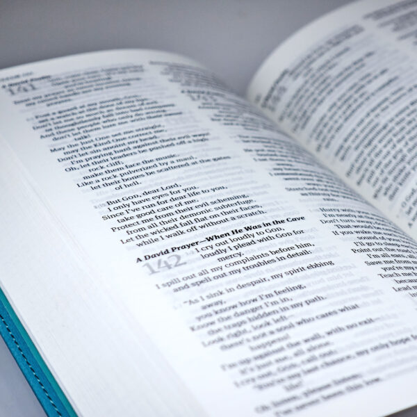 The Message | Biblija v sodobni angleščini - Image 4