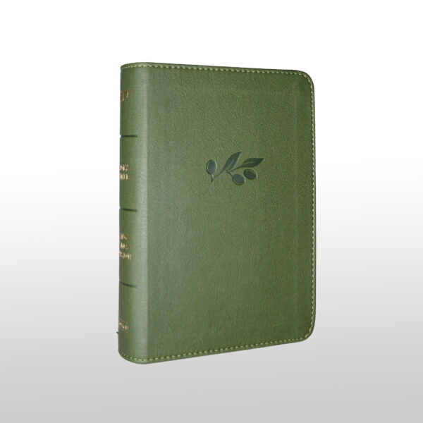 King James Bible | KJV olivne barve