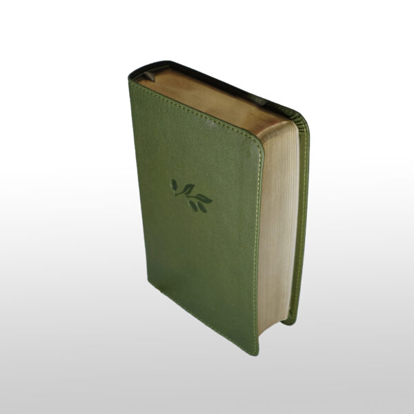 King James Bible | KJV olivne barve - Image 3