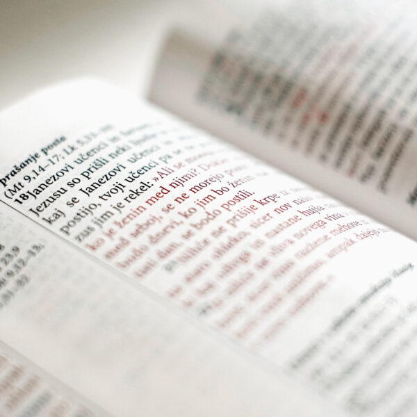Sveto pismo Plus (Fire Bible) - Image 7