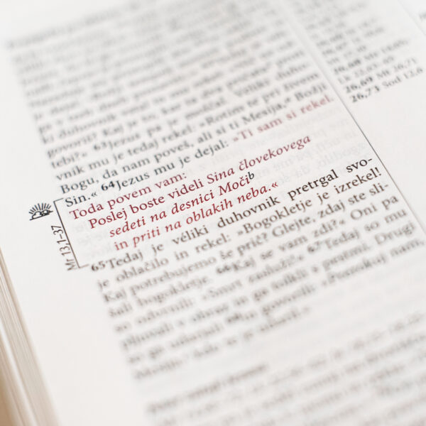Sveto pismo Plus (Fire Bible) - Image 8