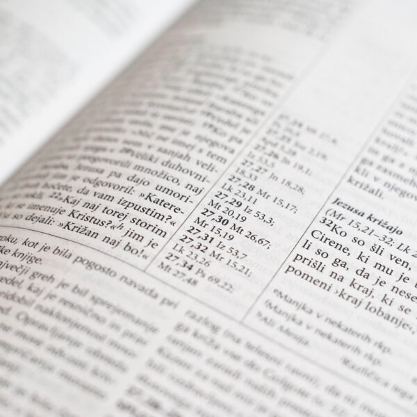 Sveto pismo Plus (Fire Bible) - Image 9